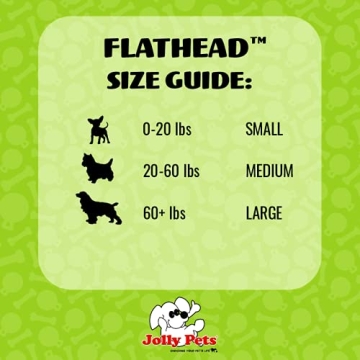 Jolly Pets Flathead Tug/Squeak Toy for Medium Dogs