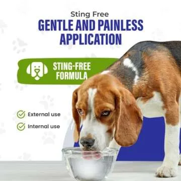 Colloidal Silver for Pet Wound Care & Immune Support