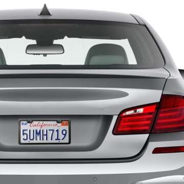 ZXFOOG Carbon Fiber License Plate Frame- 100% Handcrafted Real Carbon Fiber Cloth Wrapped Holder, Slim Black Stainless Steel Car Tag Cover with Screws Caps, Rattle Proof Pad, 1 Pack 2 Hole