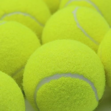 Swingers Tennis Balls 20 Pack for Dogs & Training High Elasticity