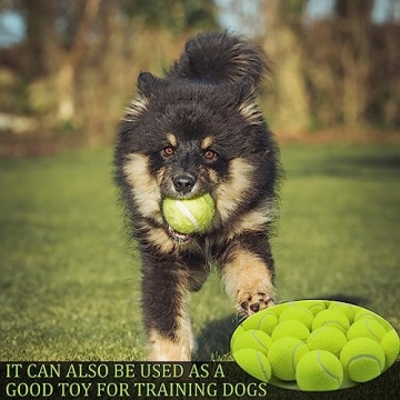 Swingers Tennis Balls 20 Pack for Dogs & Training High Elasticity