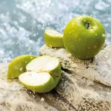 Dolce & Gabbana Light Blue Eau De Toilette Spray for Women, 50ml