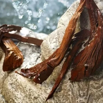 Dolce & Gabbana Light Blue Eau De Toilette Spray for Women, 50ml