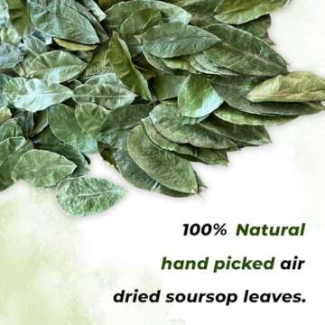 Dried Soursop Leaves From Ceylon Sri Lanka| 100 Leaves ~ 2oz (56g)