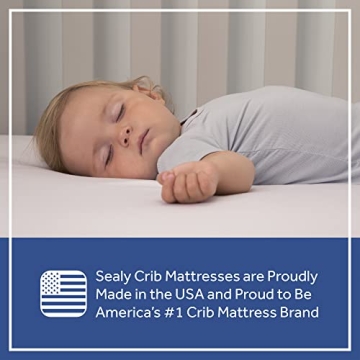 Sealy Baby Soybean Premium Foam Crib Mattress Waterproof