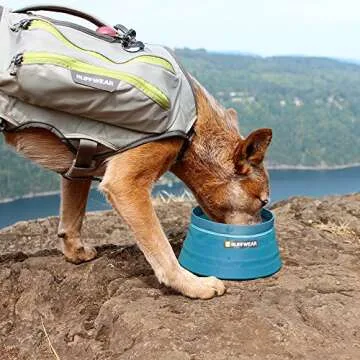 Ruffwear Collapsible Dog Bowl Perfect for Adventures