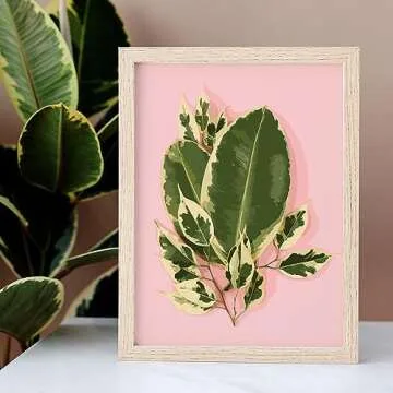 LikeyFactory Paint by Numbers Kit for All Ages - Premium Quality