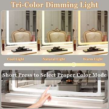 Vierose LED Large Vanity Mirror for Perfect Makeup Lighting