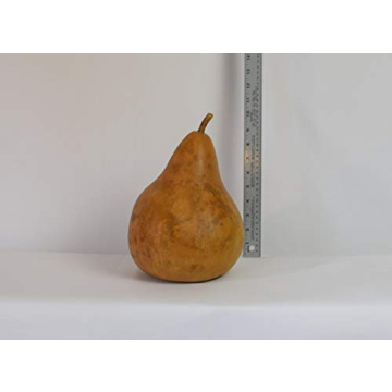 Dried Martin Gourd for Creative Crafting and Decor