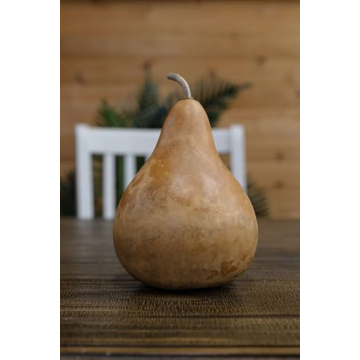 Dried Martin Gourd for Creative Crafting and Decor