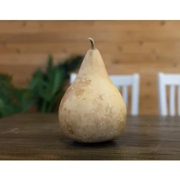 Dried Martin Gourd for Creative Crafting and Decor