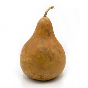 Dried Martin Gourd for Creative Crafting and Decor