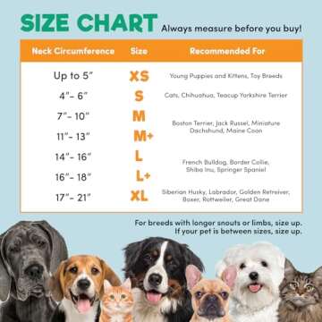 BENCMATE Protective Inflatable Collar for Dogs and Cats - Soft Pet Recovery Collar Does Not Block Vision E-Collar (Medium, Blue)