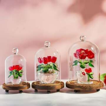 ZEERSHEE Set of 3 Glass Bell Shape Dome with Wooden Base Clear Decorative Glass Dustproof Dome with ...