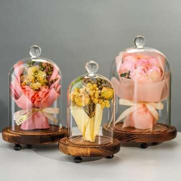 ZEERSHEE Set of 3 Glass Bell Shape Dome with Wooden Base Clear Decorative Glass Dustproof Dome with Handle for Home Party Wedding Decor