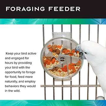 Paradise Toys Bird Creative Foraging System Wheel, Spins with Food Inside, 6” Diameter