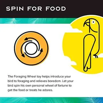 Paradise Toys Bird Creative Foraging System Wheel, Spins with Food Inside, 6” Diameter