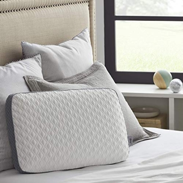 Sealy Molded Bed Pillow for Ultimate Sleep Comfort and Support