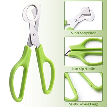 Effortless Quail Egg Cutting with Calary Shears