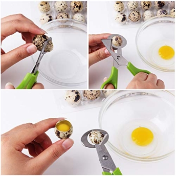 Effortless Quail Egg Cutting with Calary Shears