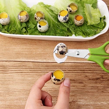 Effortless Quail Egg Cutting with Calary Shears