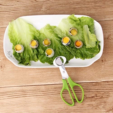 Effortless Quail Egg Cutting with Calary Shears