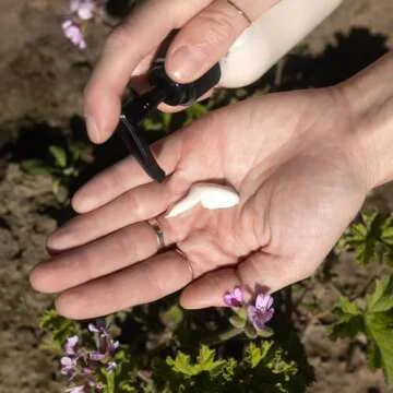 evanhealy Rose Cleansing Milk | Natural Distilled Plant Hydrosols & Essential Oils | Gentle Facial Cleanser for All Skin Types