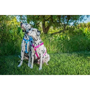 Reflective Adjustable Dog H Harness for Large Dogs