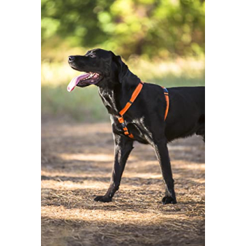 Reflective Adjustable Dog H Harness for Large Dogs