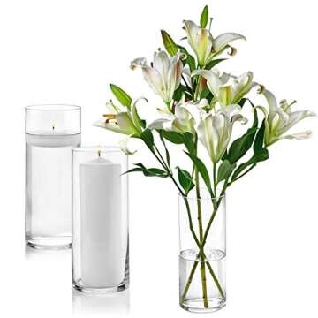 Quality Set of 12 Cylinder Vases for All Occasions