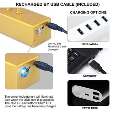 RAIFOOLLY Picture Light,5000mAh Rechargeabl Art Lights for Paintings,Remote 16" Display Accent Light with Timer and Dimmable for Wall,Frame,Portrait-Gold