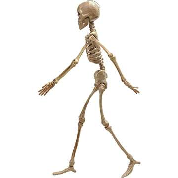 Realistic COYOAL 16" Halloween Skeleton Prop for Decor