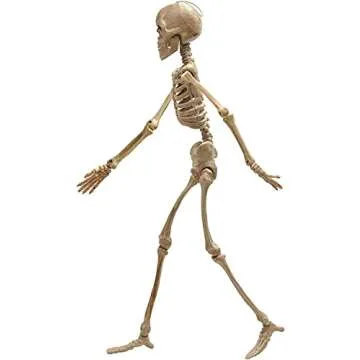 Realistic COYOAL 16" Halloween Skeleton Prop for Decor