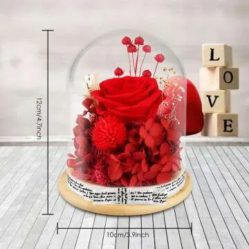 Fresh Preserved Red Rose Gift in Glass Dome