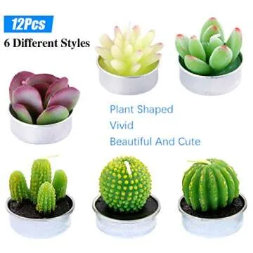 Glarks Cute Succulent Candles for All Occasions