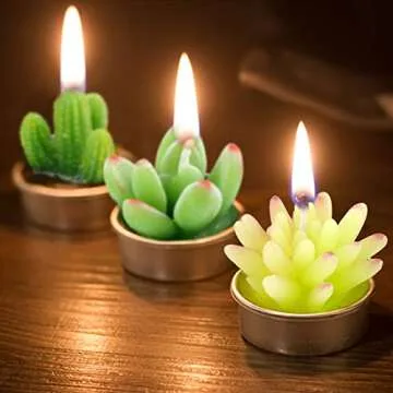 Glarks Cute Succulent Candles for All Occasions