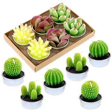 Glarks Cute Succulent Candles for All Occasions