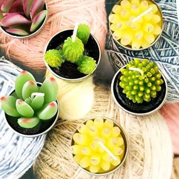 Glarks Cute Succulent Candles for All Occasions