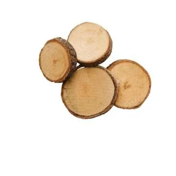 Colorations Natural Wood Craft Rounds for Creative DIYers