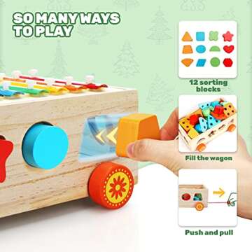 TOY Life 4 in 1 Baby Xylophone for Toddlers: Wooden Hammering Pounding Toy - Wood Montessori Sorting Learning Block Sensory for 12-18 Month Kids