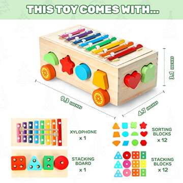 TOY Life 4 in 1 Baby Xylophone for Toddlers: Wooden Hammering Pounding Toy - Wood Montessori Sorting Learning Block Sensory for 12-18 Month Kids