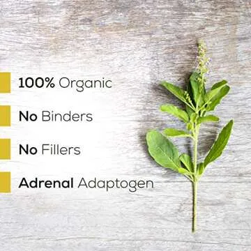 Supreme Nutrition Tulsi Supreme – Holy Basil Capsules - 90 Vegetarian Capsules