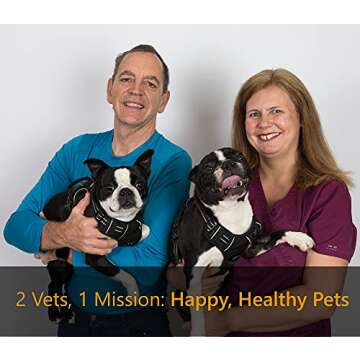 Bamboo Slow Feeder Dog Bowl - Large Size, Unique Anti-Choke Design for Healthy Eating - 3 Cups - Che...