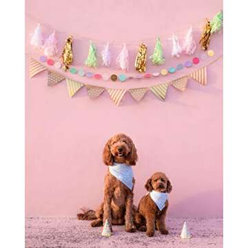 Remy+Roo Dog Bandanas - 2 Pack | Birthday Set | Premium Durable Fabric | Patented Shape | Adjustable...