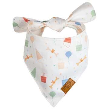 Remy+Roo Dog Bandanas | Birthday Set for Pets