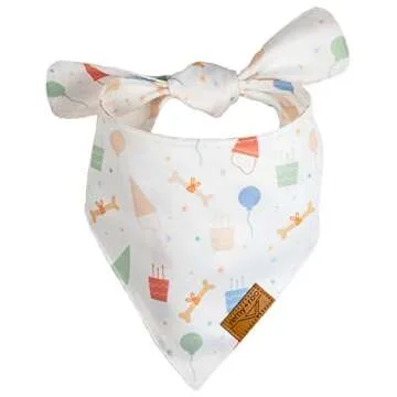 Remy+Roo Dog Bandanas | Birthday Set for Pets