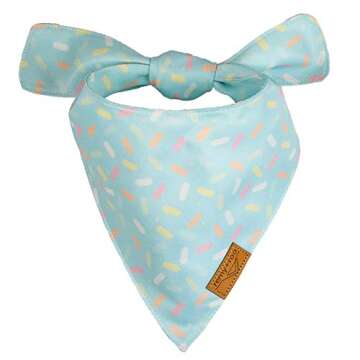 Remy+Roo Dog Bandanas | Birthday Set for Pets