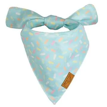 Remy+Roo Dog Bandanas | Birthday Set for Pets