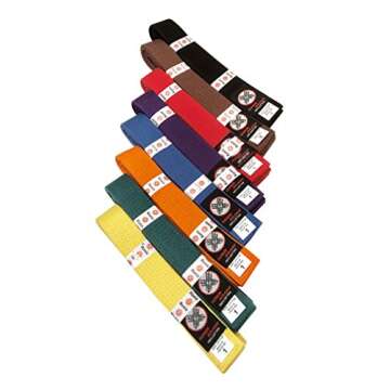 Ronin Brand Martial Arts Uniform Solid Colored Rank Belt – Wht, Yellow, Green, Org, Blue, Pur, Red, Brn, & Blk