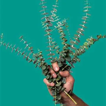 Pit~Pourri Mini All Day Deodorant - Natural Freshness